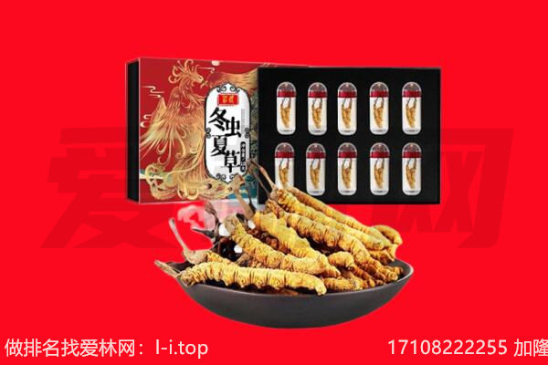 楚雄州回收虫草.jpg